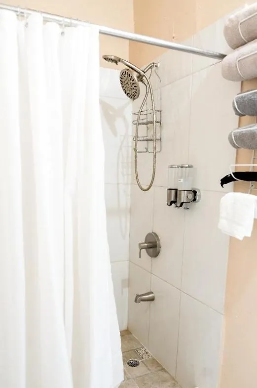 קינגסטון Mona Studio Suite