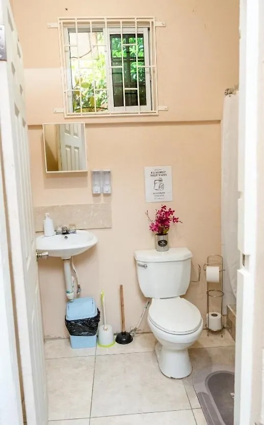 קינגסטון Mona Studio Suite ג'מייקה