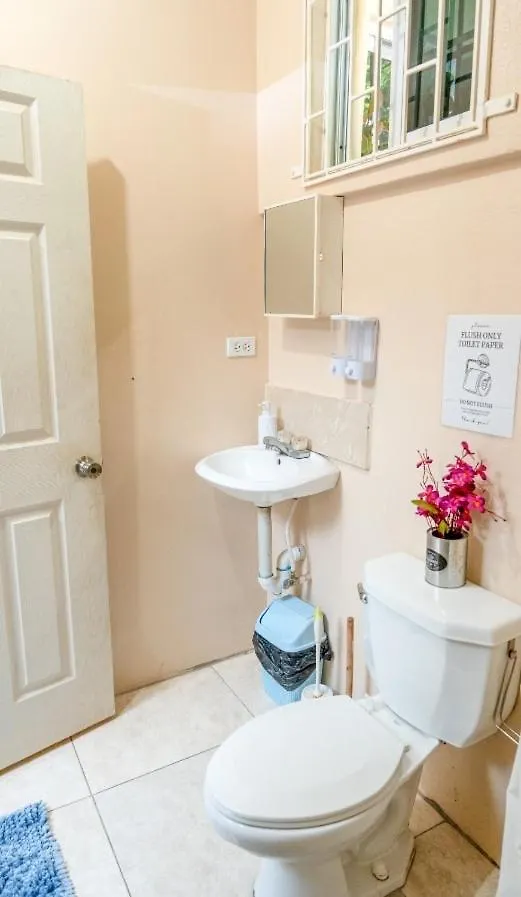 דירה קינגסטון Mona Studio Suite